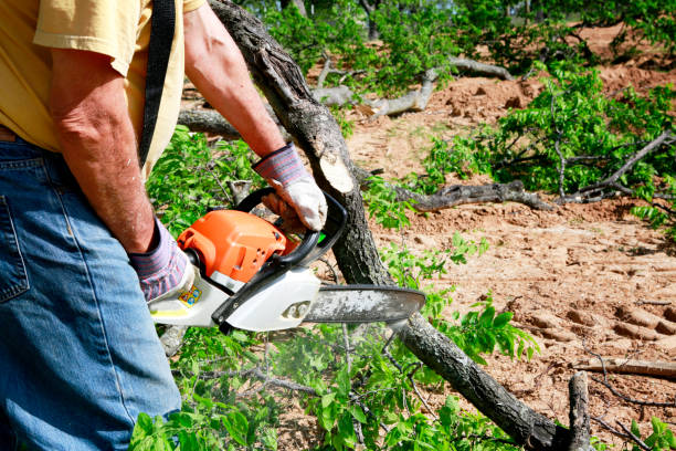 Lawn Edging